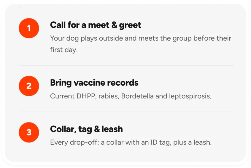 Three-step checklist: call for a meet & greet, bring vaccine records, and bring a collar, tag and leash