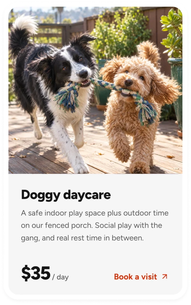 Doggy daycare card with two dogs playing tug on the porch and the $35 daily price