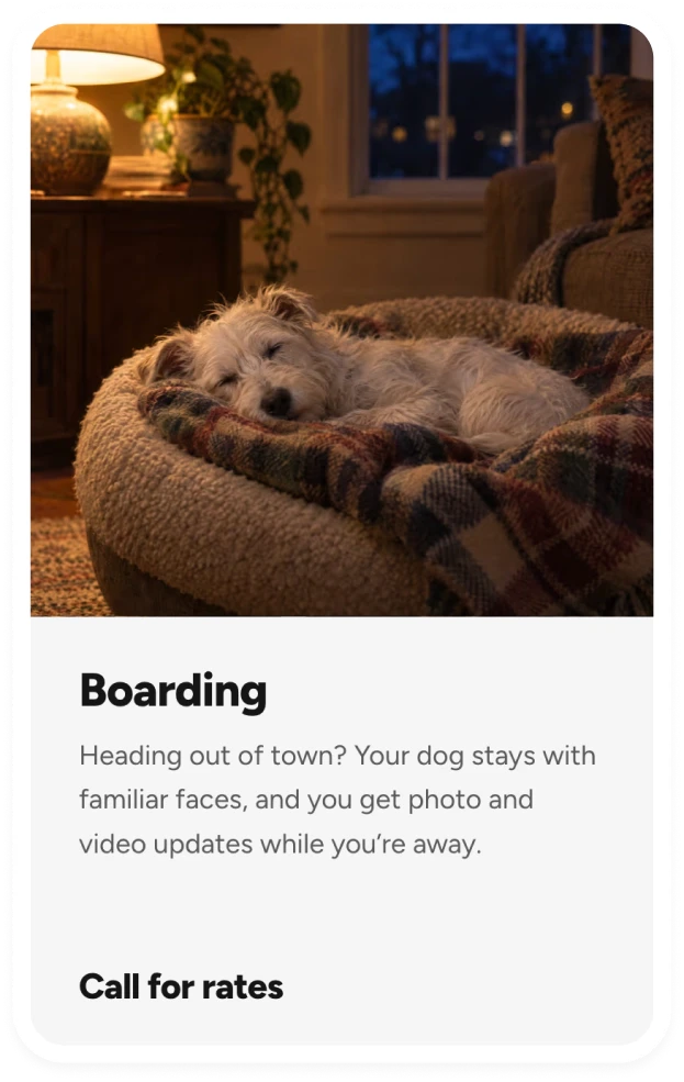Boarding card with a small dog asleep in a cozy bed