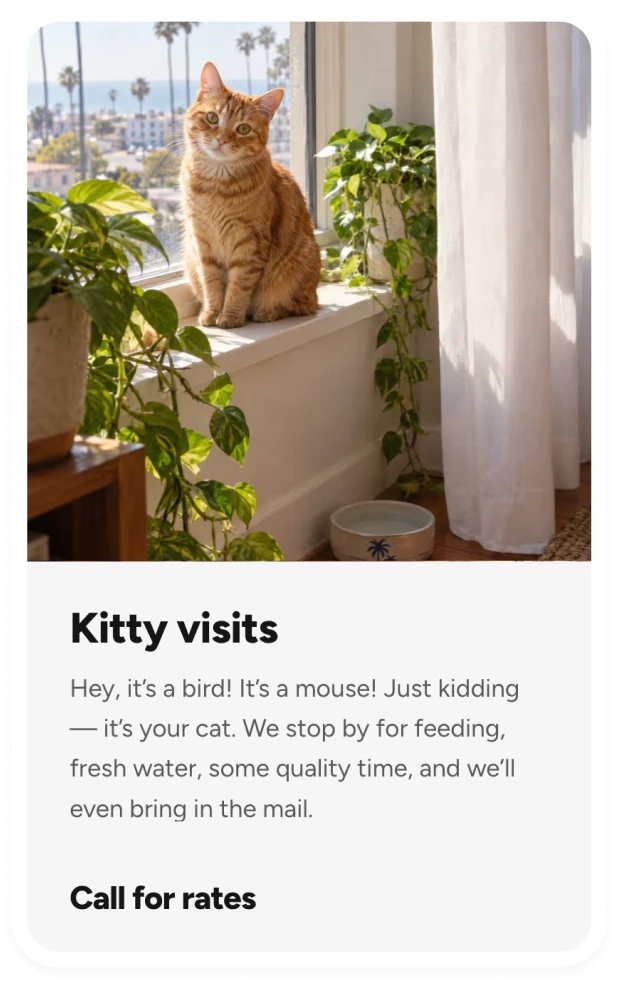 Kitty visits card with an orange cat sitting in a sunny window